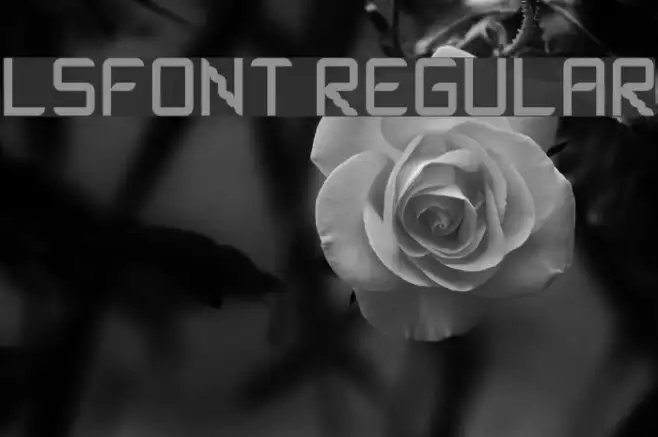 lsfont Regular Example 1