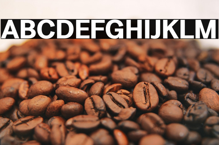 LT Amber Bold Example 1