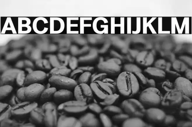 LT Amber Bold Font examples