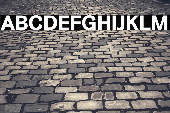 LT Amber Bold Example 2