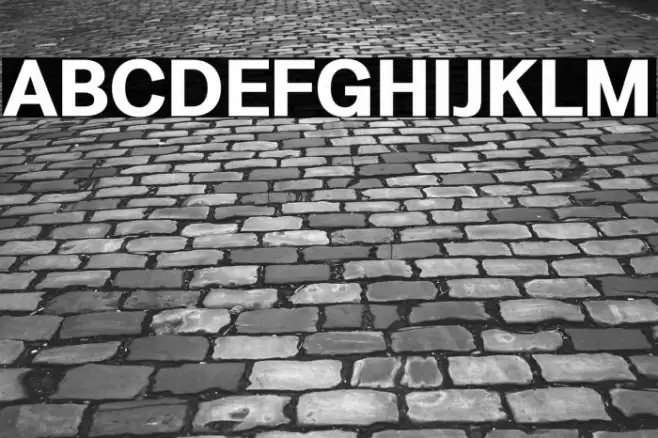 LT Amber Bold Font examples