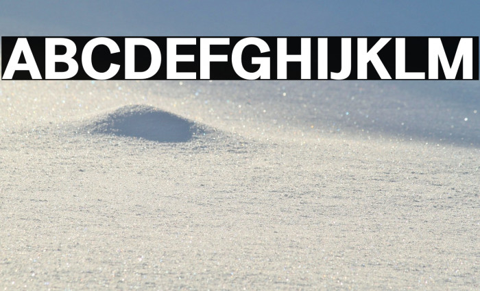 LT Amber Bold Example 3