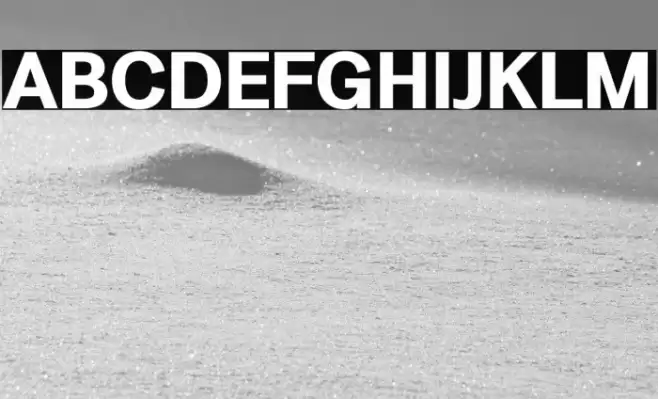 LT Amber Bold Font examples