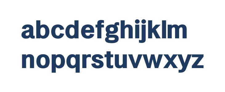 LT Amber Bold Lowercase