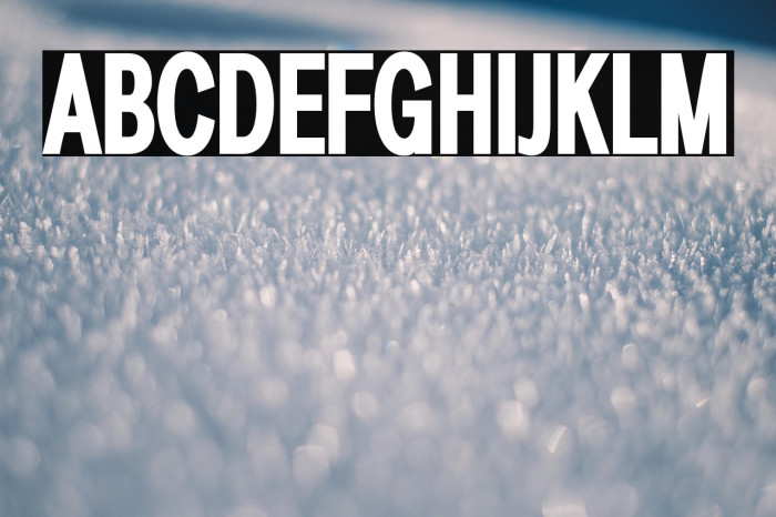 LT Amber Compressed Bold Example 1