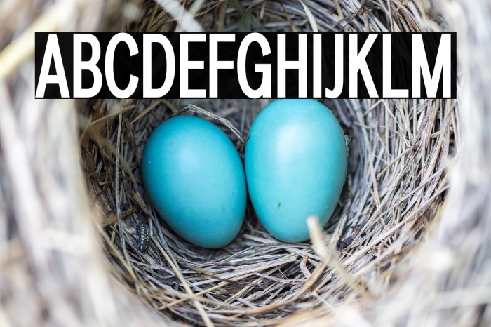 LT Amber Compressed Demi-bold Example 3