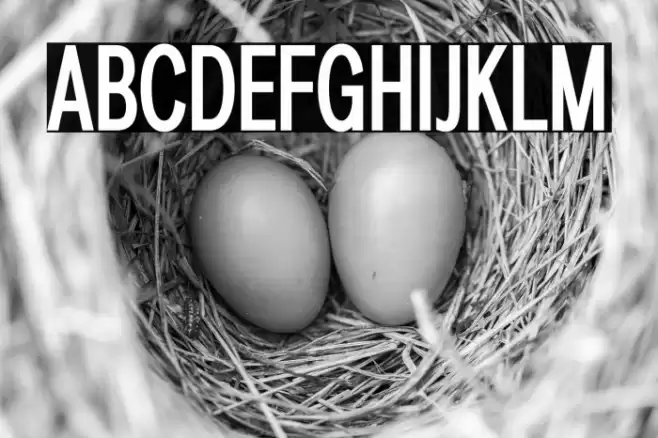 LT Amber Compressed Demi-bold Font examples