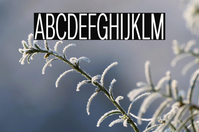 LT Amber Compressed Light Example 1