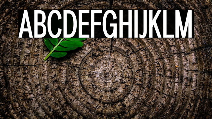 LT Amber Compressed Medium Example 3