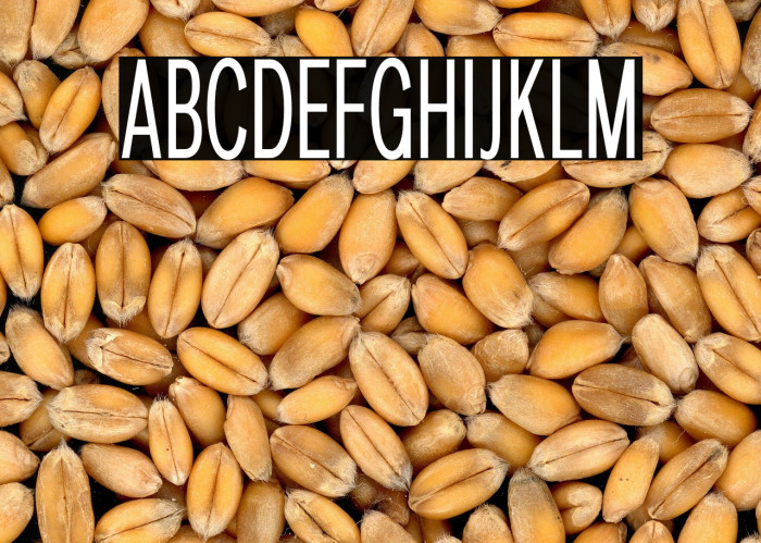 LT Amber Compressed Example 1