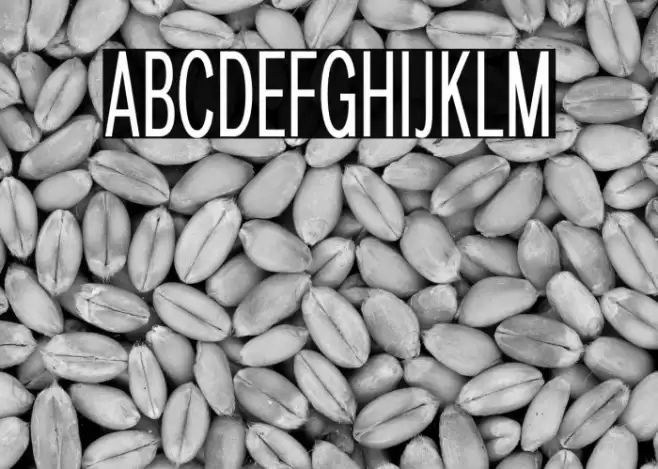 LT Amber Compressed Font examples