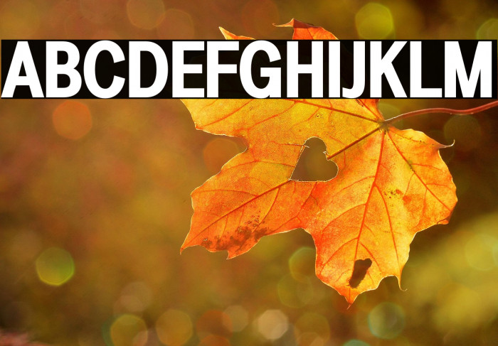 LT Amber Condensed Bold Example 2