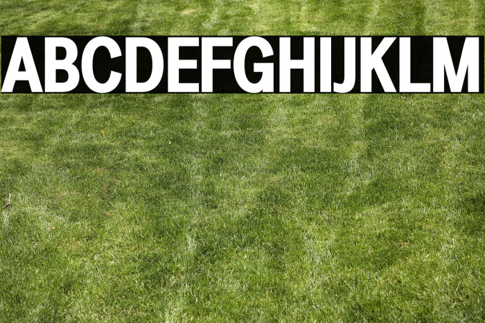 LT Amber Condensed Bold Example 3