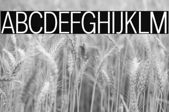 LT Amber Condensed Light Font examples