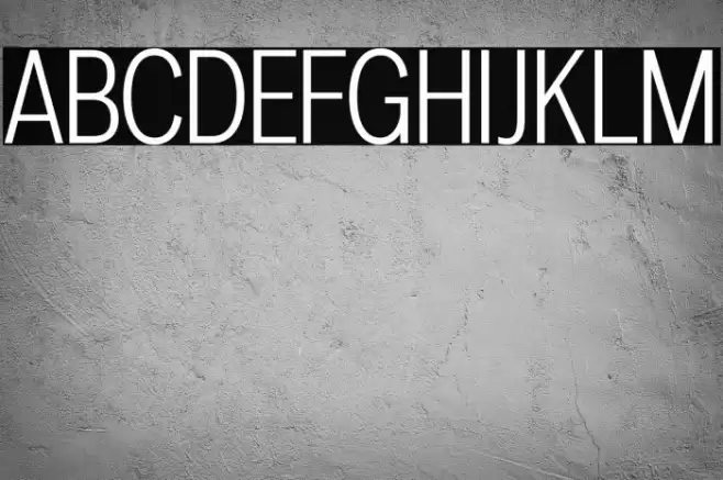 LT Amber Condensed Light Font examples