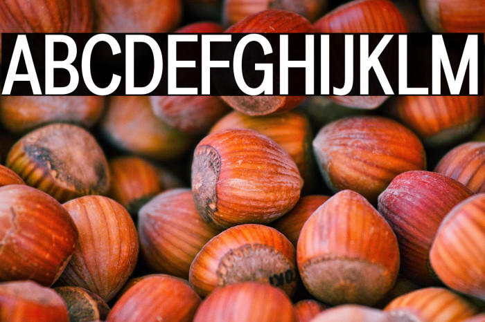 LT Amber Condensed Medium Example 1