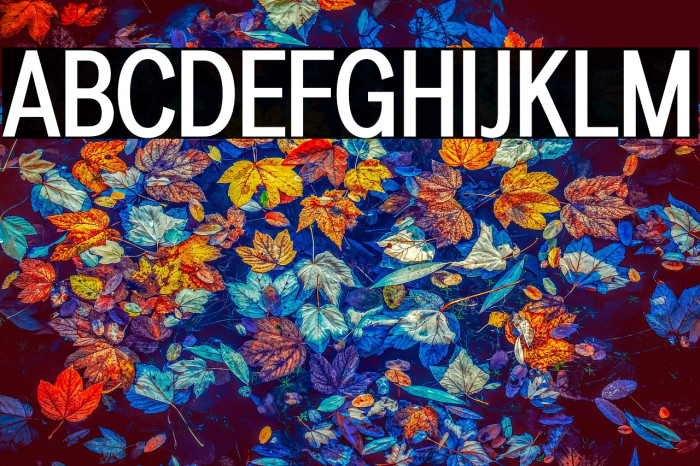 LT Amber Condensed Medium Example 3