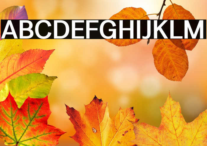 LT Amber Demibold Example 1