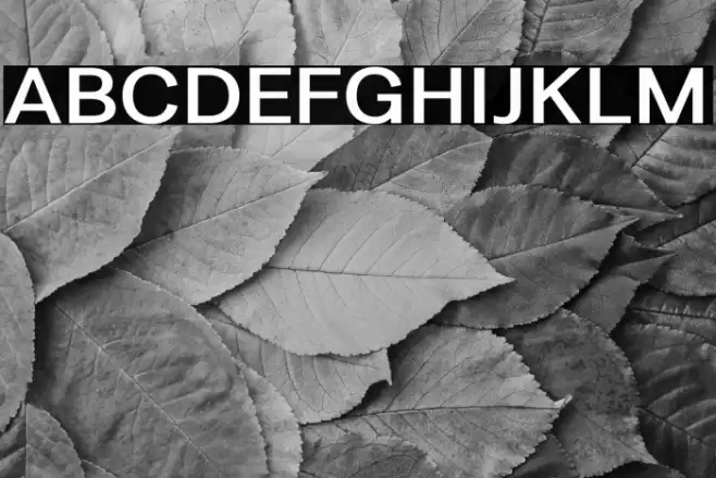 LT Amber Extended Demi-bold Font examples