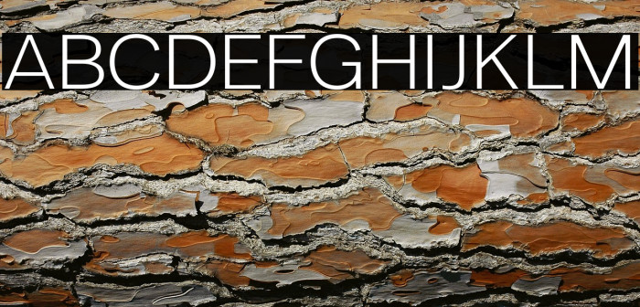 LT Amber Extended Light Example 3