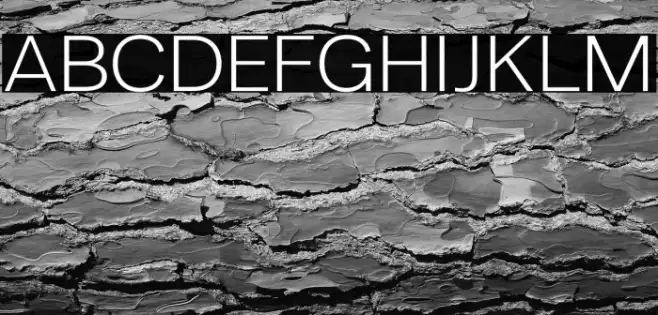 LT Amber Extended Light Example 3