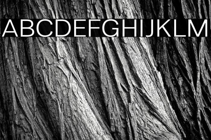 LT Amber Extended Example 1