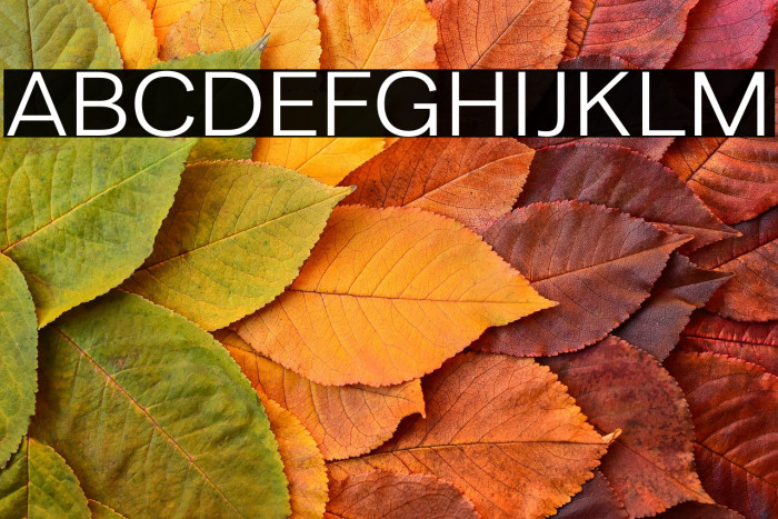 LT Amber Extended Example 3