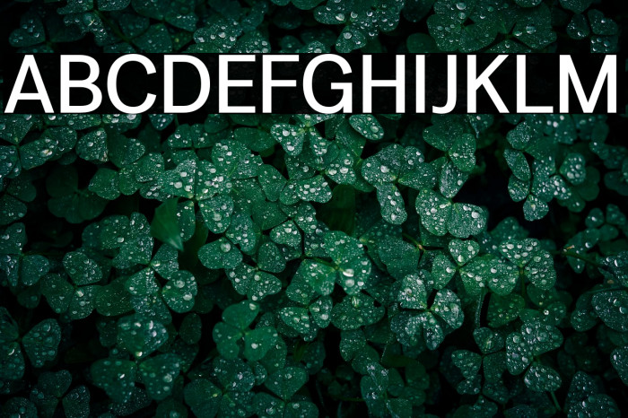 LT Amber Medium Example 1