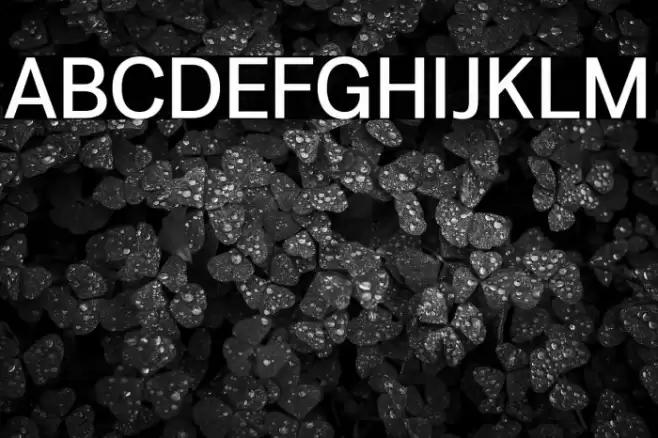 LT Amber Medium Font examples