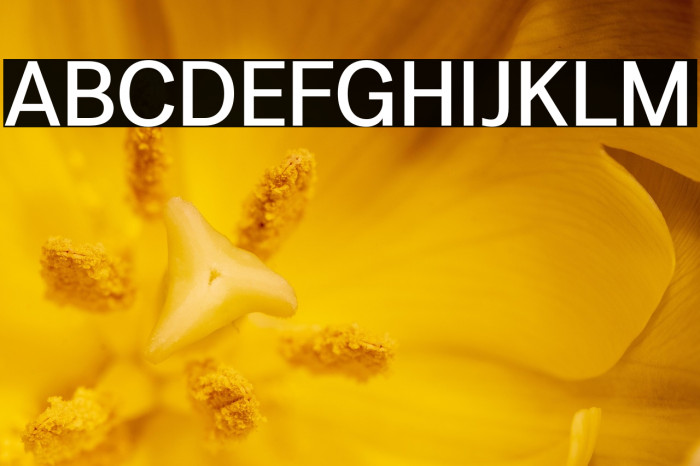 LT Amber Medium Example 2