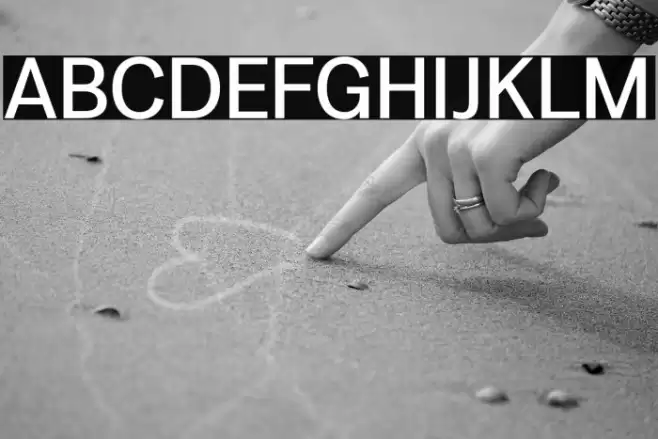 LT Amber Medium Font examples