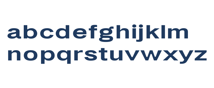 LT Amber Wide Extra-expanded Bold Lowercase