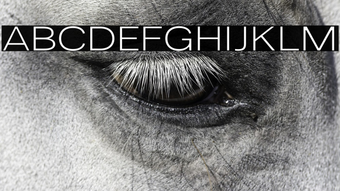 LT Amber Wide Extra-expanded Light Example 3