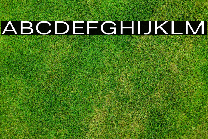 LT Amber Wide Extra-expanded Medium Example 3