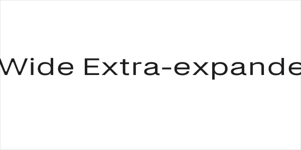 LT Amber Wide Extra-expanded Medium Logo