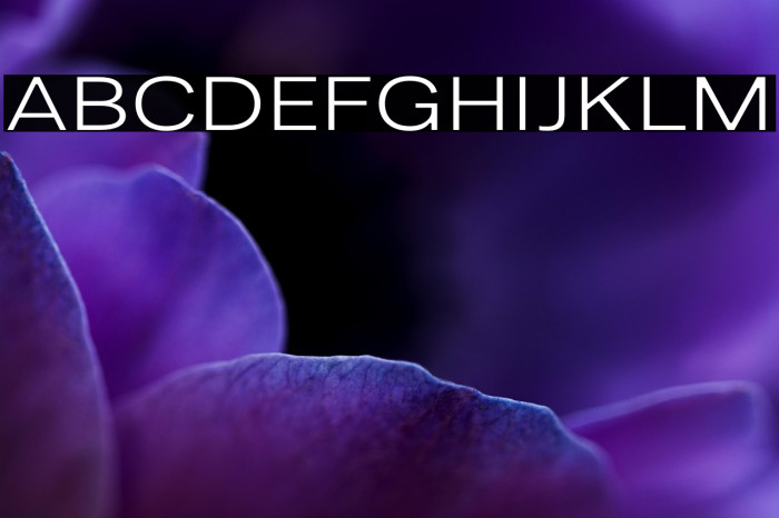 LT Amber Wide Extra-expanded Regular Example 1