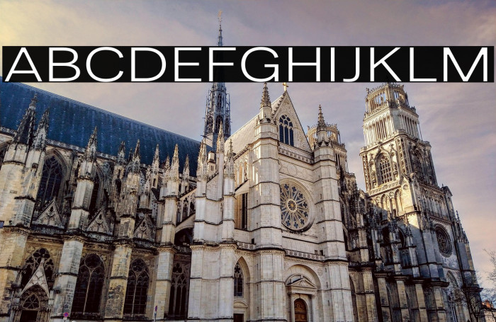 LT Amber Wide Extra-expanded Regular Example 2