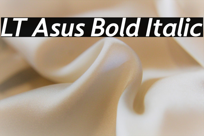 LT Asus Bold Italic Example 1