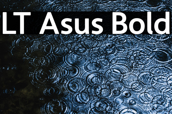 LT Asus Bold Example 2