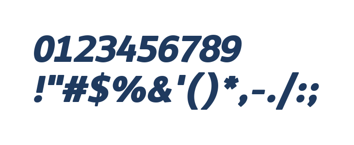 LT Asus Heavy Italic Other Characters