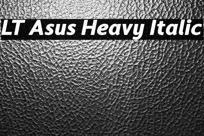 LT Asus Heavy Italic Example 2