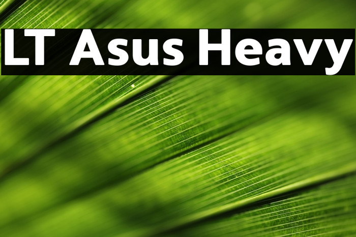 LT Asus Heavy Example 2