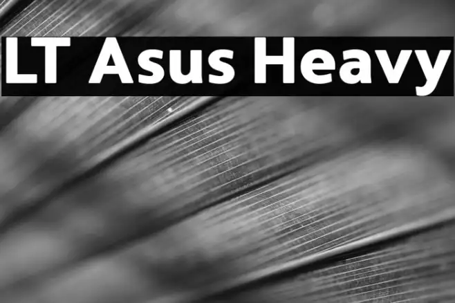 LT Asus Heavy Example 2