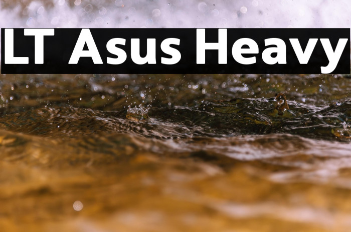 LT Asus Heavy Example 3