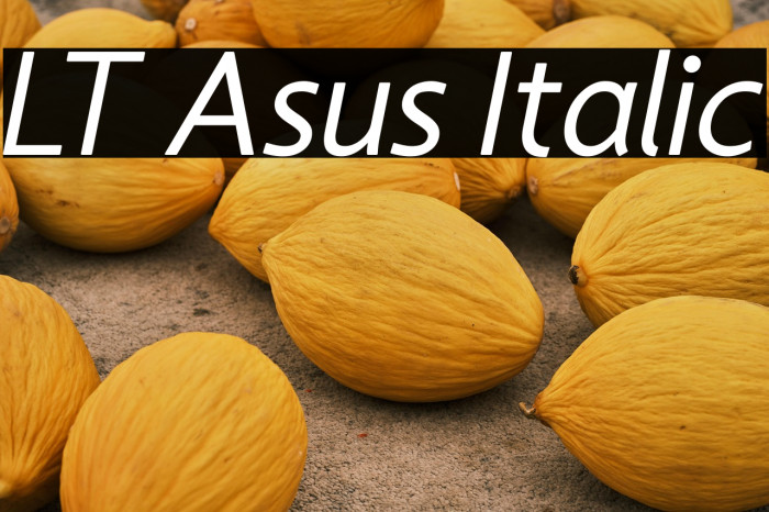 LT Asus Italic Example 1