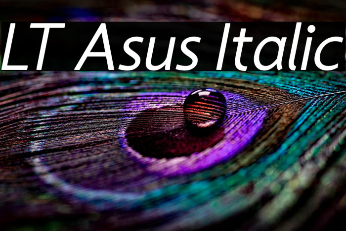 LT Asus Italic Example 2