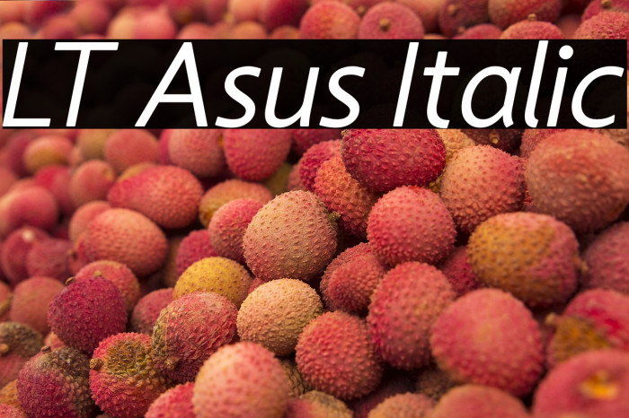 LT Asus Italic Example 3
