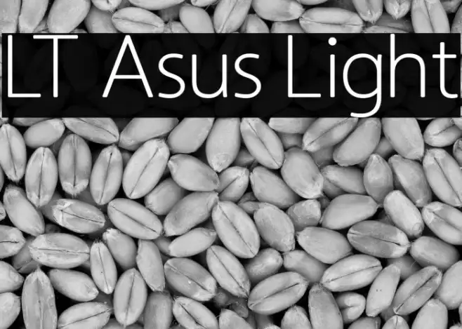 LT Asus Light Example 3