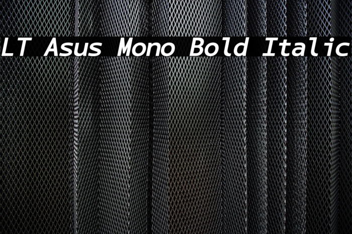 LT Asus Mono Bold Italic Example 1