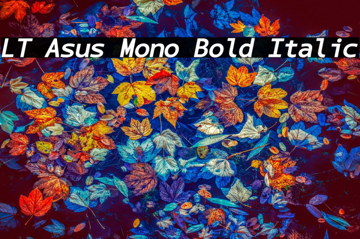 LT Asus Mono Bold Italic Example 2
